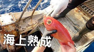 【從海洋到餐桌EP3】金眼鯛船上做神經絞放血，熟成6日生魚片。