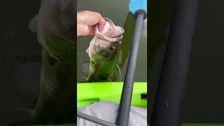 Kayak Fishing 🔥#fishing #kayak fishing ak