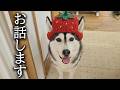 みなさまにお知らせがあります...