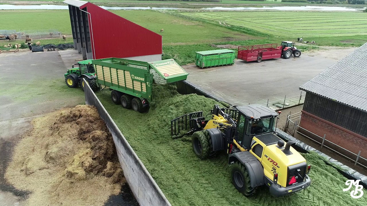 1. slæt græs ensileres