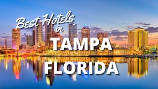 Best Hotels in Tampa, Florida  From Luxury to FamilyFriendly *2022*