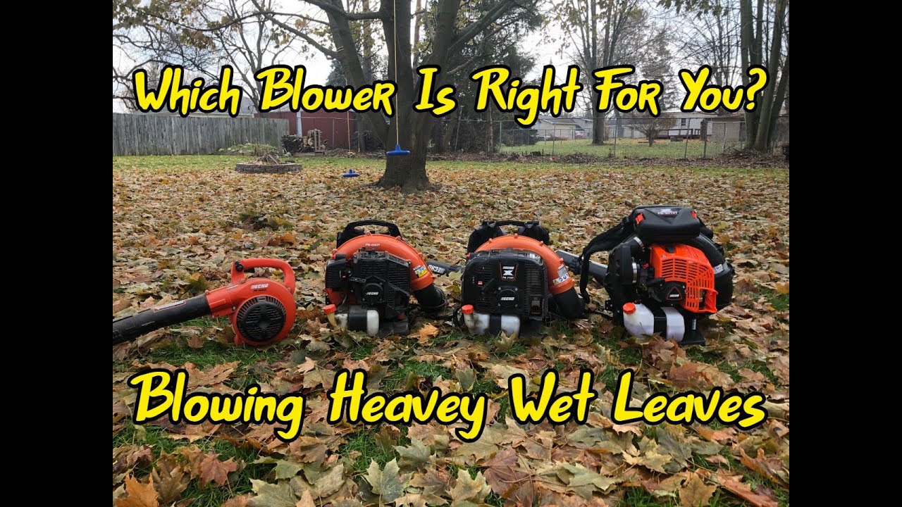 ECHO Blower Buyers Guide Unofficial