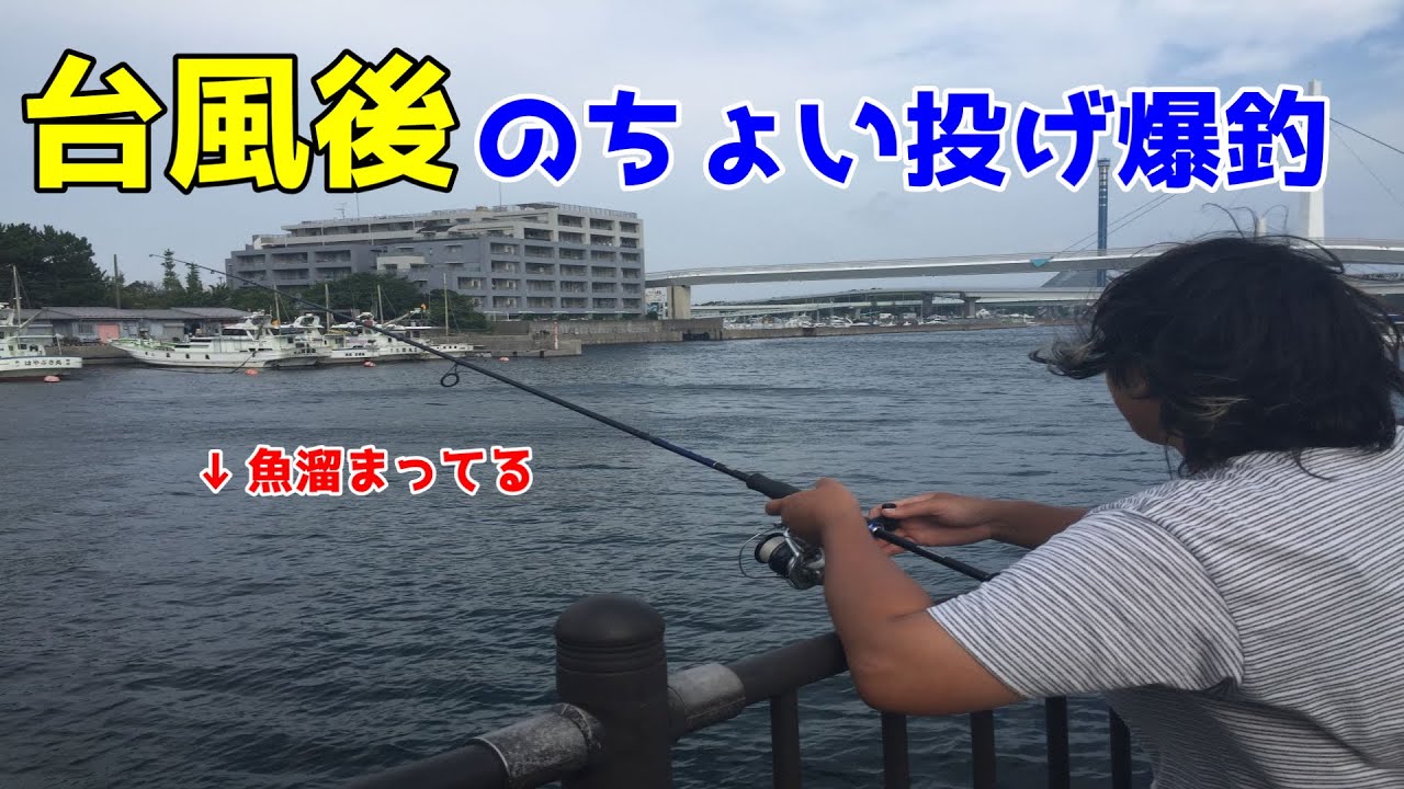 台風後のちょい投げ爆釣 Youtube