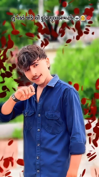 Rupni Tari Jaho Jalali (Remix) Vishal hapor new song #vishalhaporofficial6 #vishalhapor #shortvideo