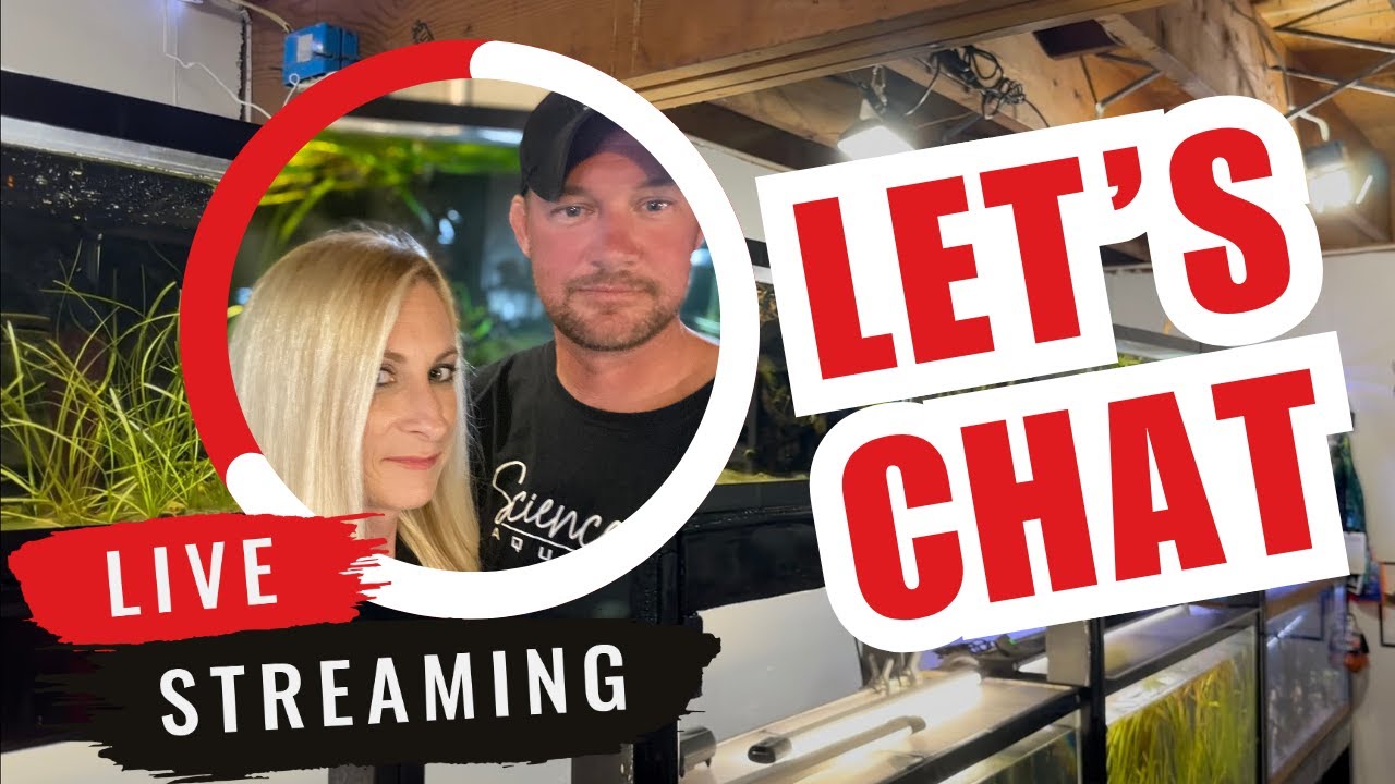 Let's Chat - YouTube