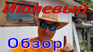 Россия. Сибирь. Иркутск. Мельничная падь. Огород. Урожай. Июль Обзор. Россия. Сибирь. Иркутск. Мельничная падь. Огород. Урожай. Июль Обзор.
