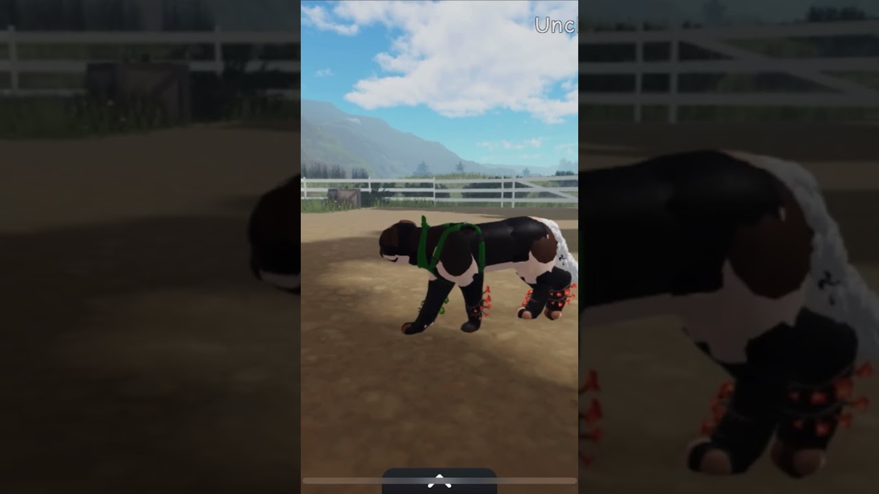 kit army and IB- I don’t know