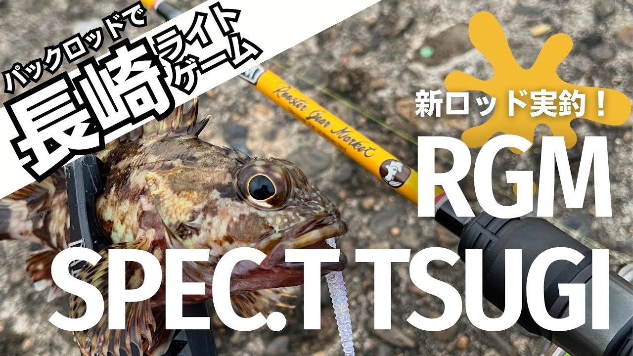 新しいパックロッドを持ってライトゲームへ。RGM Spec.T Tsugi で春の