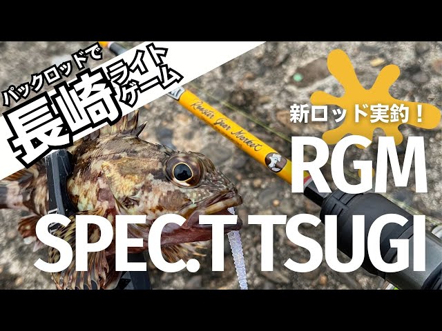 新しいパックロッドを持ってライトゲームへ。RGM Spec.T Tsugi で春の