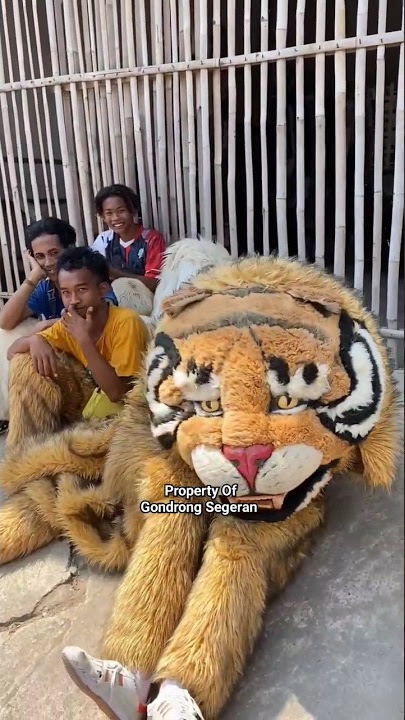 Wajah asli dibalik can macanan singa depok burok aji putra