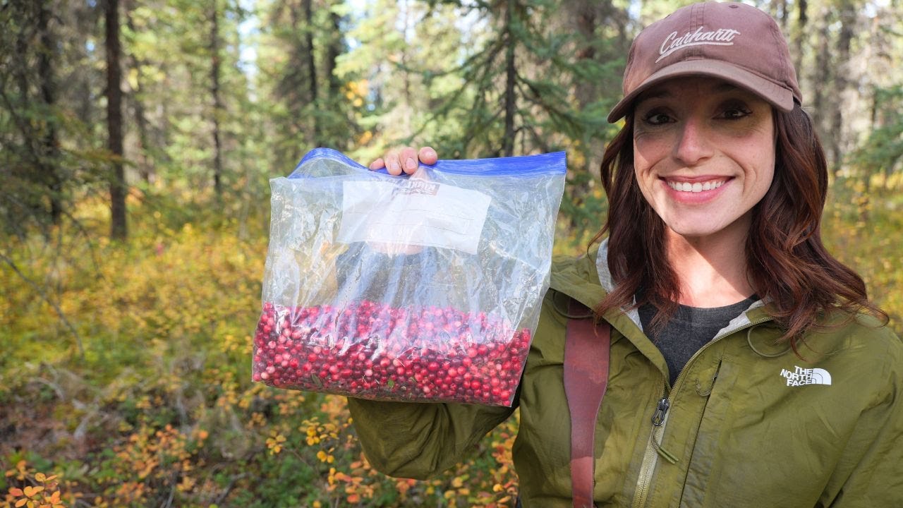 Our Favorite Jam for Small Game | Wild Cranberry Foraging & Jam Making in Alaska