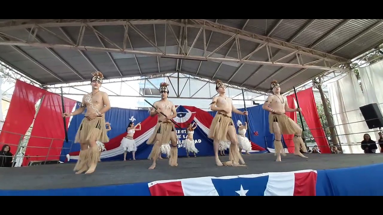 Electivo Danza IVº día 2