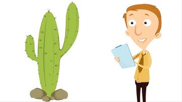 3rd Grade - Science Class - Ecosystems (we don