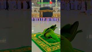 Makka Sharif ❤️🕋🤲#trending #sorts #video #islamicnaat#Sharif#islamic #contact @Deen_e-islam-d4e
