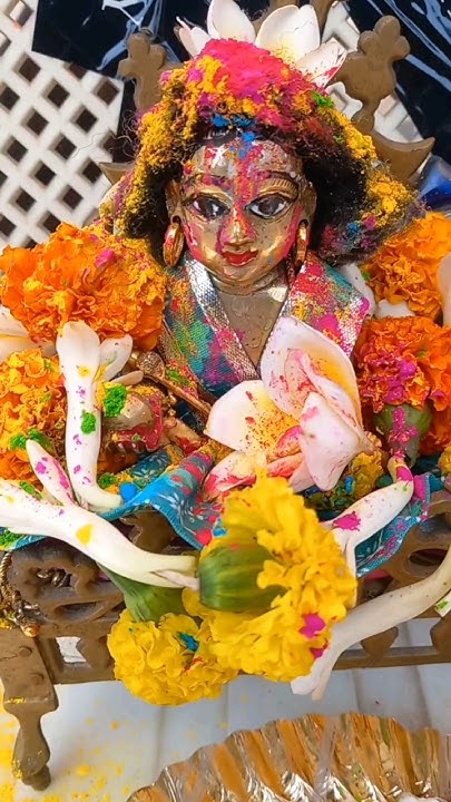 holi khala mashalo me