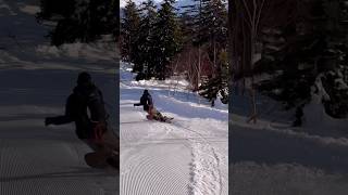 🌅旭岳ザラメピステン🌅 #snowsurf #snowboarding