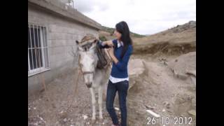 Burunsuzlar Köyü Gaziantep Resimi