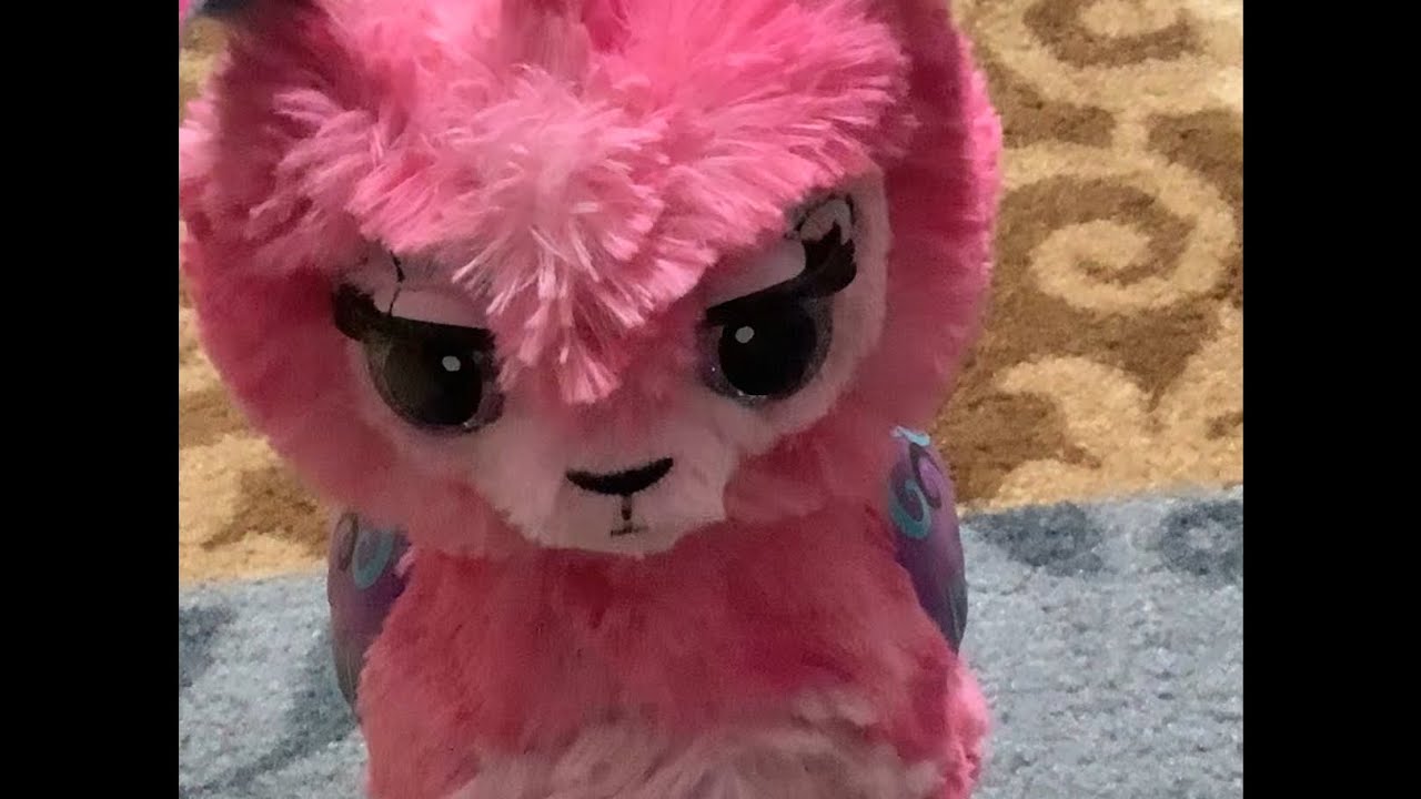 Hatchamal cleaning video