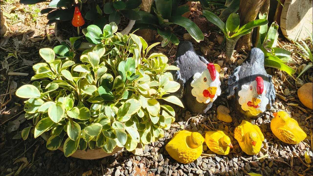 Veja onde fomos parar - mostrei artesanatos no recanto 