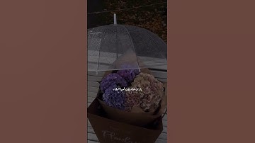 نَحْنُ أَوْلِيَاؤُكُمْ فِي الْحَيَاةِ الدُّنْيَا وَفِي الْآخِرَةِ ۖ |القارئ إسلام صبحي.