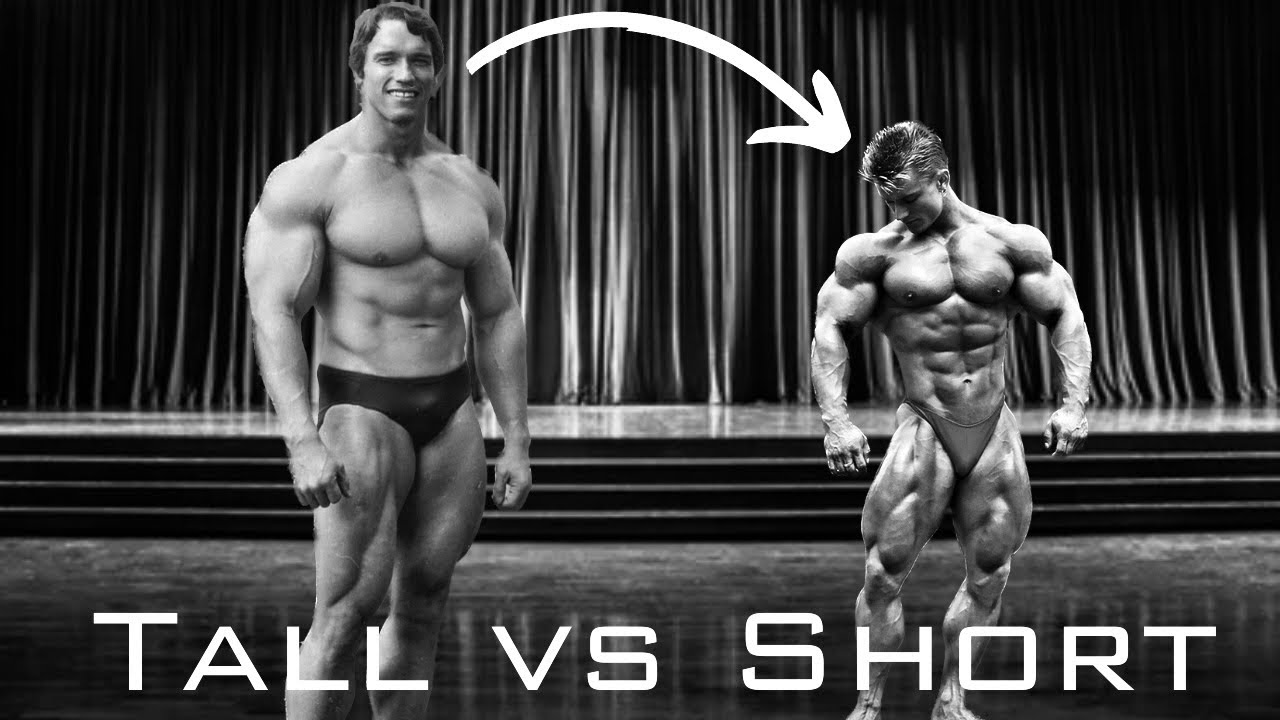 Tall Vs Short Bodybuilders Does Size Matter YouTube tall-vs-short-bodybuilders-does-size-matter-youtube