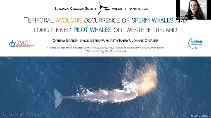 Cynthia Barile - Acoustic occurrence of sperm whal...