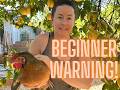 7 Things I Wish I Knew Before Getting My First Chickens (Beginner’s Guide)