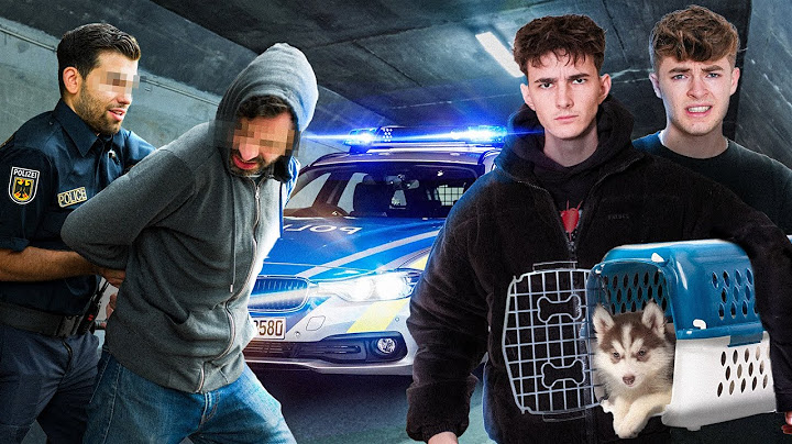 ILLEGALE Welpen-Händler überführt⚠️ mit POLIZEI😳🚨👮🏻 & @Lewinray