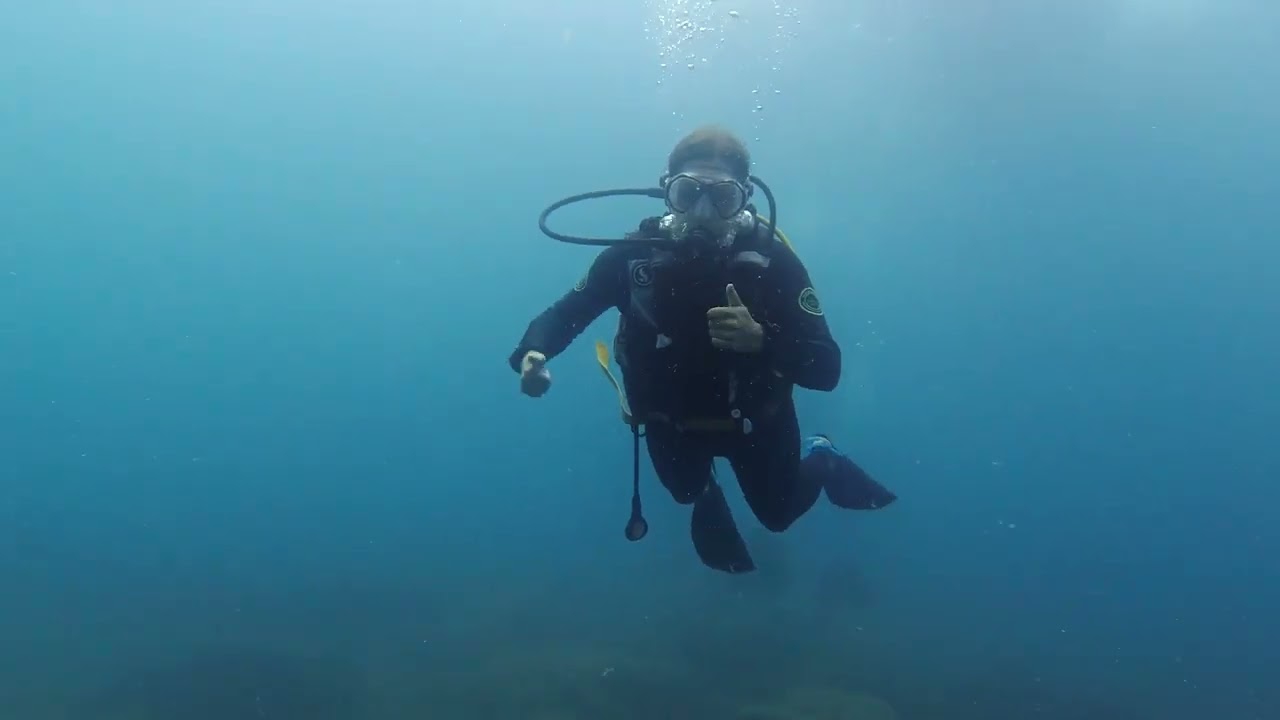 Banyuls-sur-Mer Plongée - Août 2023