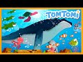 Hoy hoy the ocean animals  kids song  tomtomi