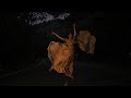 Dance cover | coming soon!
