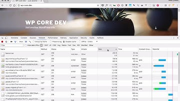 Web Browser Dev Tools part 3: The Network tab and testing slow pages