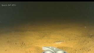 Getting Real Deep in Sebec Lake Underwater Drone Footage