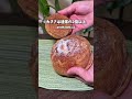 見つけたらラッキー!巨大シュークリーム!