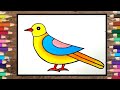 bird drawing with colour|bird drawing step by step|how to draw and colour a bird