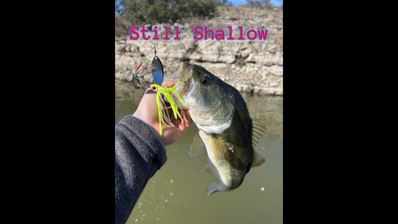 Spinnerbait fishing for cold, dirty water bass in the winter.