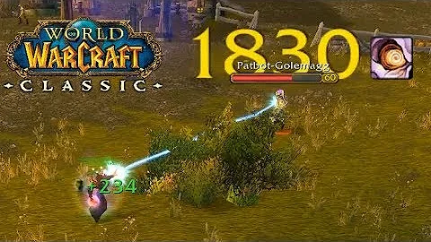 A Literal Killing Machine! | WoW Classic PvP Shado...