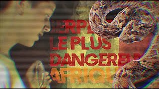 Face À Face Avec Un Des Serpents Les Plus Dangereux Dafrique Sénégal Herping