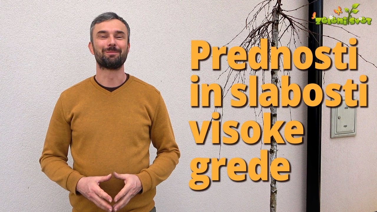 Prednosti in slabosti visoke grede