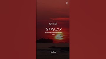 سورة العنكبوت للقارئ عبد الرحمن مسعد 🌿