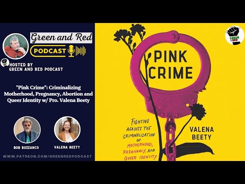"Pink Crime": Criminalizing Motherhood, Pregnancy, Abortion and Queer Identity w/ Pro. Valena Beety