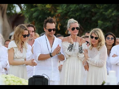 David Hallyday :