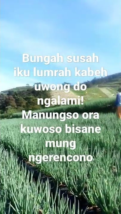 pasrah Karo seng Kuoso loor💪💪