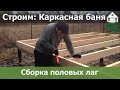 Сборка половых лаг. День 2.