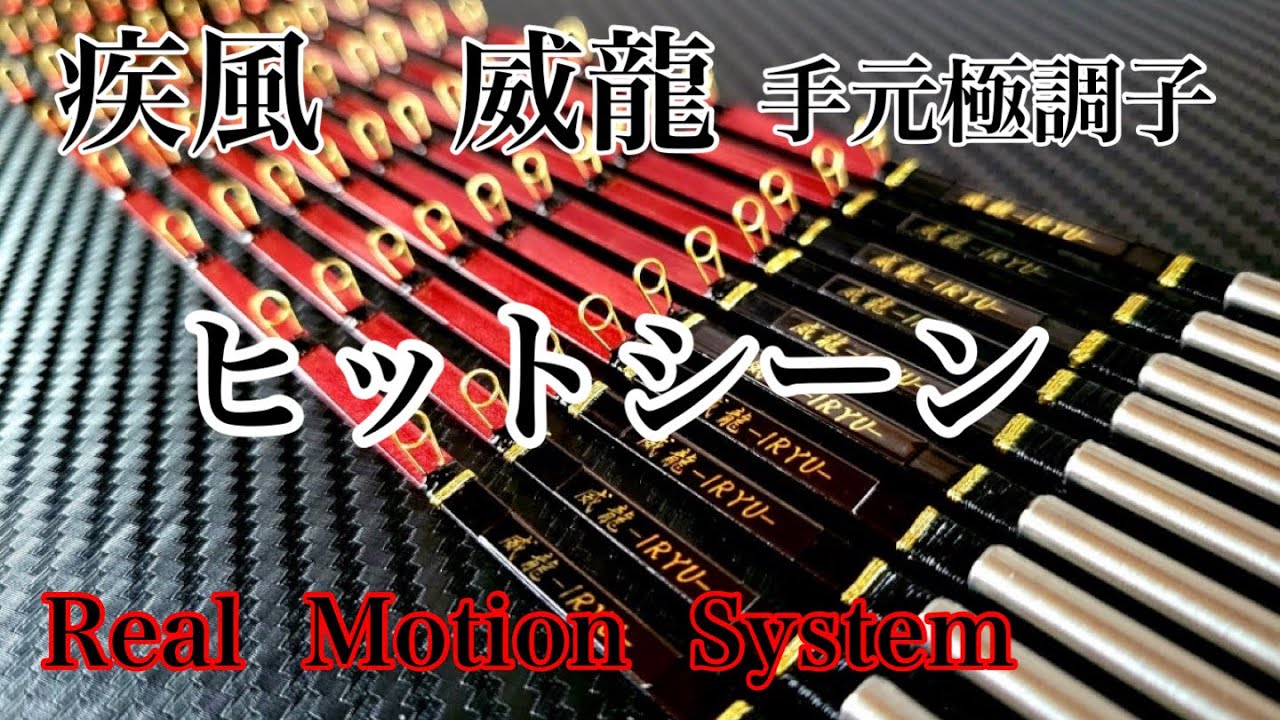 ワカサギ穂先 疾風威龍 極公魚 プレミアムモデル 中古品 2本セット