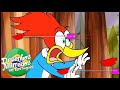 Pica-Pau em Português | Cuidado com o Cupido Compilação | Nova Série | Desenhos Animados