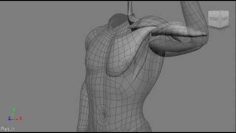 Syflex softimage muscles system