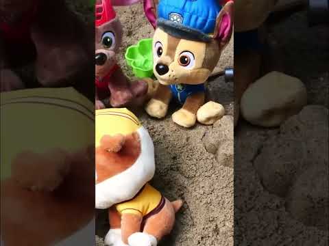 🐶🎉 Cachorros construyen en la arena