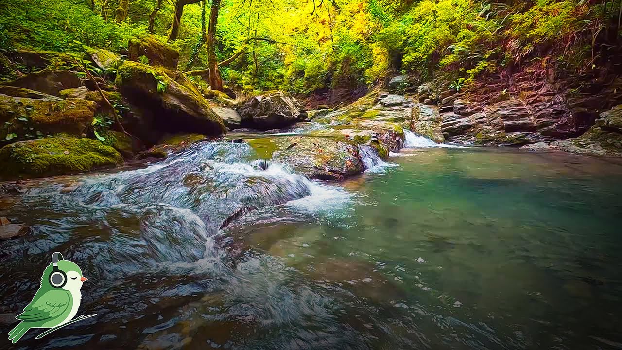 Heart of the forest | Forest River Flowing Sound | Deep Relaxation | Nature Ambience