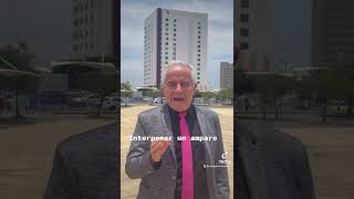 Dónde presentar #amparo #derecho #abogado #abogada